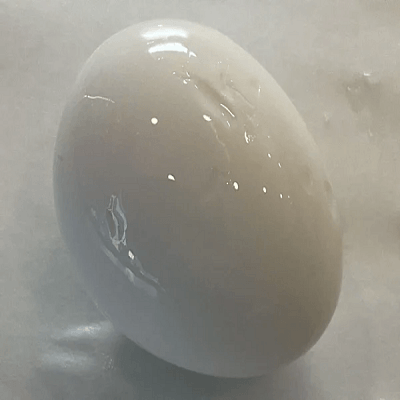 Pickled Egg 