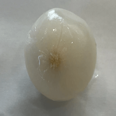 Pickled Onion 