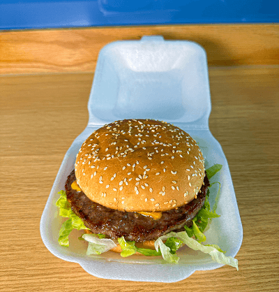 Plain Burger 