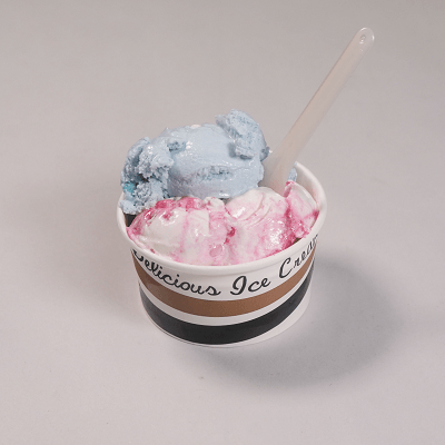 Small Tub Ice Cream (2 Scoops) 